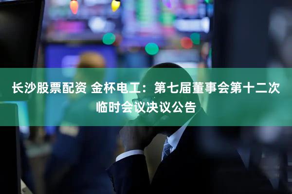 长沙股票配资 金杯电工：第七届董事会第十二次临时会议决议公告